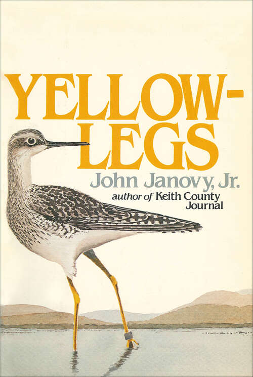 Book cover of Yellowlegs