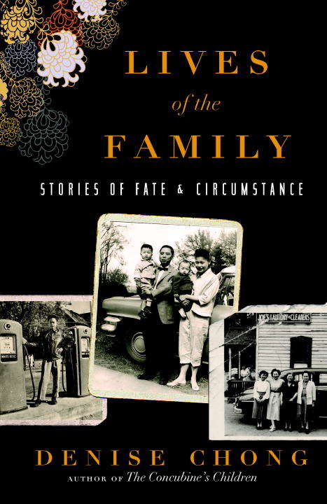 Book cover of Lives of the Family