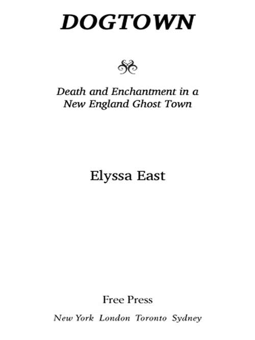 Book cover of Dogtown: Death and Enchantment in a New England Ghost Town