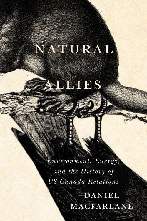 Book cover of Natural Allies: Environment, Energy, and the History of US-Canada Relations (2) (McGill-Queen's/Brian Mulroney Institute of Government Studies in Leadership, Public Policy, and Governance #14)