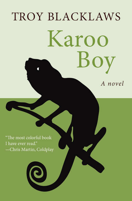 Book cover of Karoo Boy: A Novel