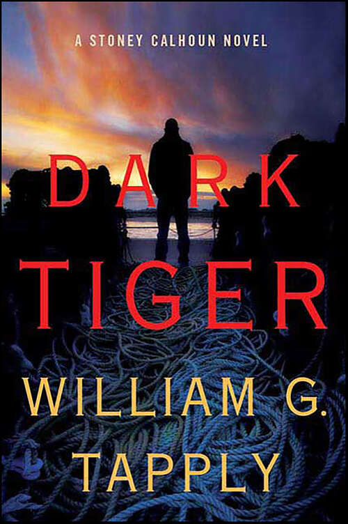 Book cover of Dark Tiger (Stoney Calhoun Novels)