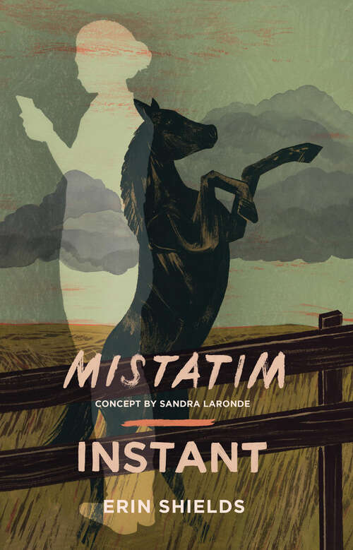 Book cover of Mistatim / Instant