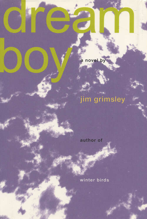 Book cover of Dream Boy: A Novel