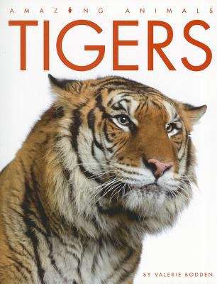 Book cover of Tigers (Amazing Animals)