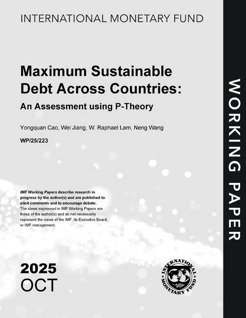 Book cover of Maximum Sustainable Debt Across Countries: An Assessment using P-Theory