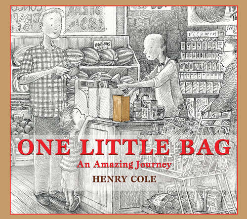 Book cover of One Little Bag: An Amazing Journey