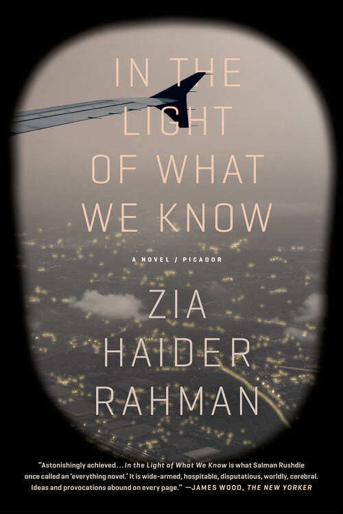 Book cover of In the Light of What We Know: A Novel