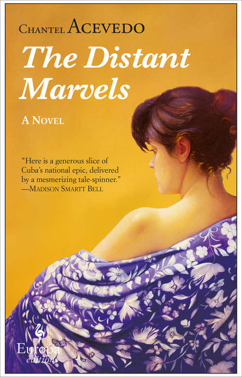Book cover of The Distant Marvels: A Novel