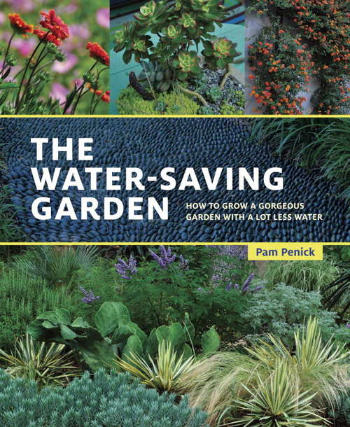 Book cover of The Water-Saving Garden