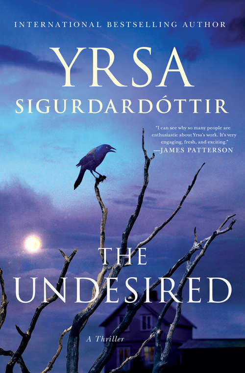 Book cover of The Undesired: A Thriller