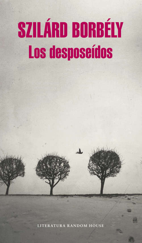 Book cover of Los desposeídos