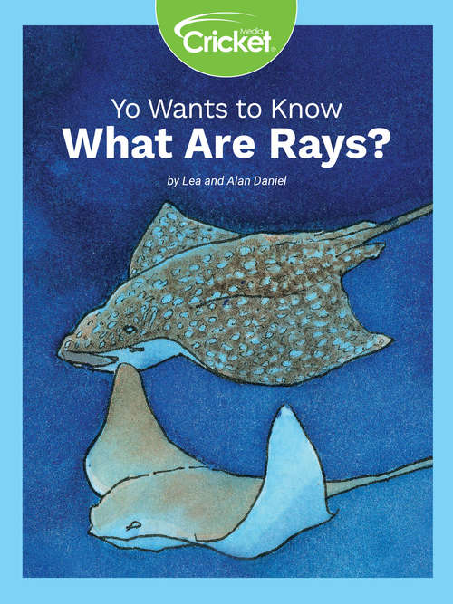 Yo Wants to Know: What Are Rays?