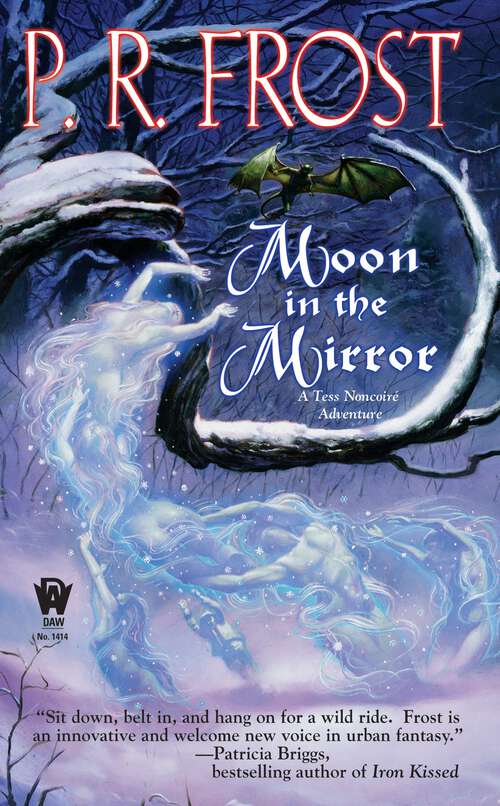 Book cover of Moon In The Mirror (Tess Noncoire Adventure #2)