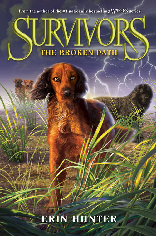 Book cover of The Broken Path (Survivors #4)