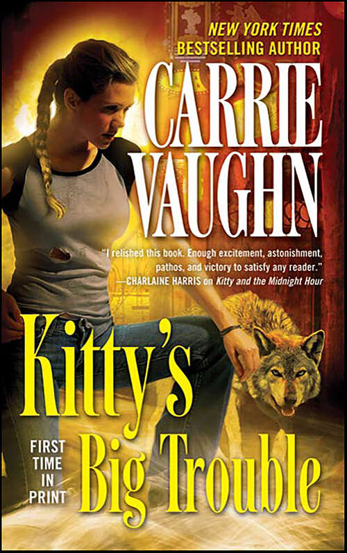 Book cover of Kitty's Big Trouble (Kitty Norville)