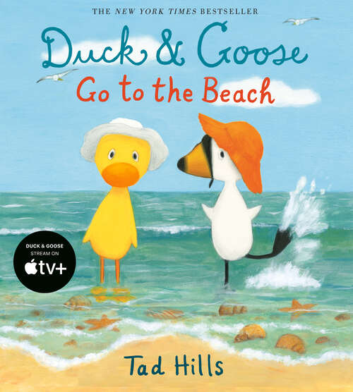 Book cover of Duck & Goose Go to the Beach