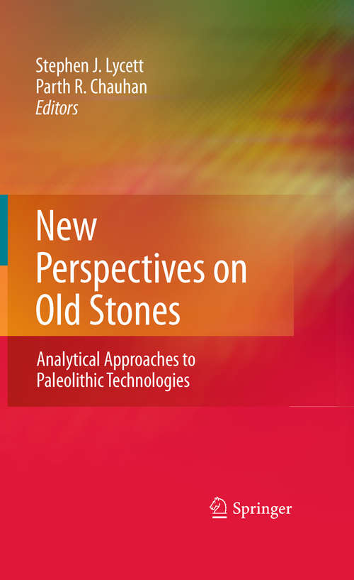 Book cover of New Perspectives on Old Stones