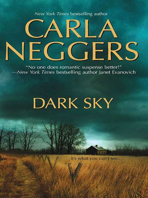 Book cover of Dark Sky