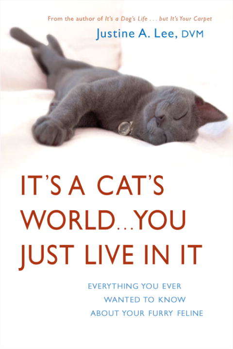 It's A Cat's World... You Just Live in It: Everything You Ever Wanted to Know About Your Furry Feline
