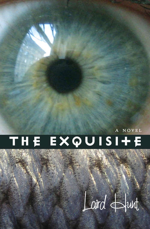 Book cover of The Exquisite