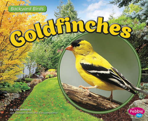 Book cover of Goldfinches