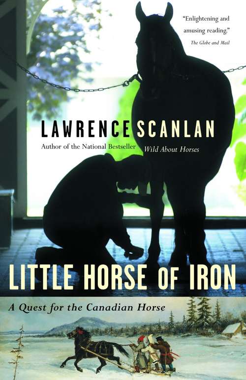 Book cover of Little Horse of Iron