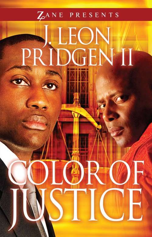 Book cover of Color of Justice: A Novel