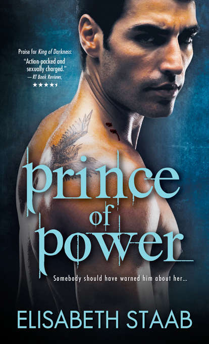 Book cover of Prince of Power