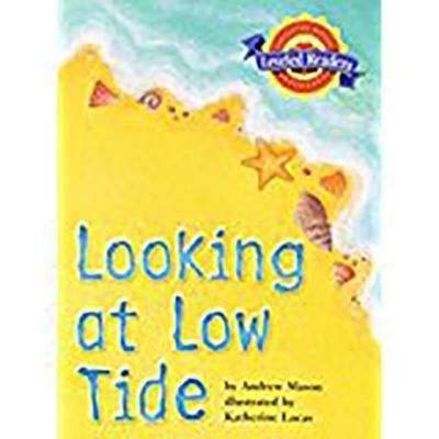 Book cover of Looking at Low Tide (Houghton Mifflin Reading Leveled Readers)