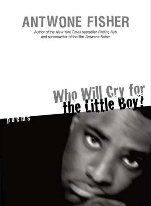Book cover of Who Will Cry for the Little Boy?