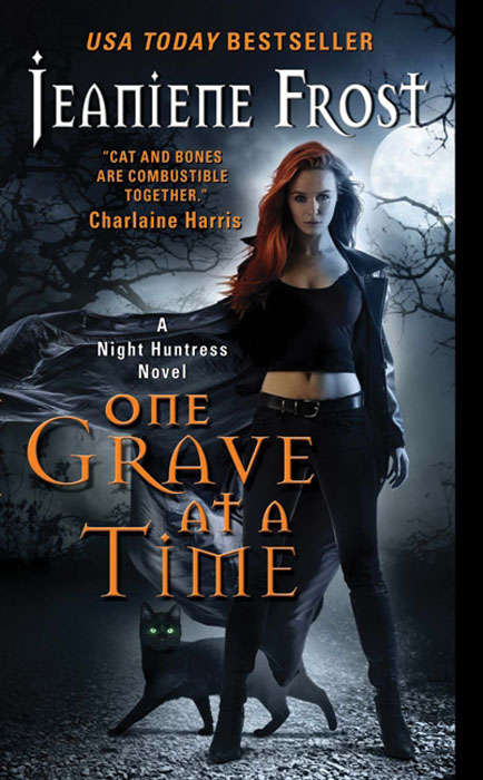Book cover of One Grave at a Time (Night Huntress #6)