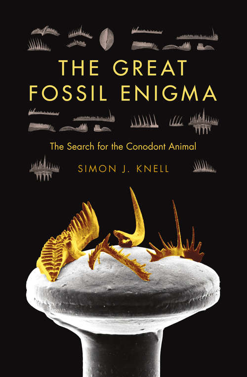The Great Fossil Enigma: The Search for the Conodont Animal (Life of the Past)