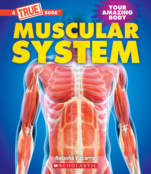 Book cover of Muscular System (A True Book (Relaunch))