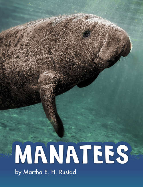 Book cover of Manatees (Animals)