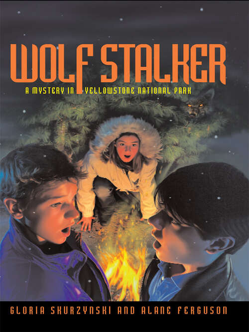 Book cover of Mysteries in Our National Parks: A Mystery in Yellowstone National Park (Mysteries in Our National Park)