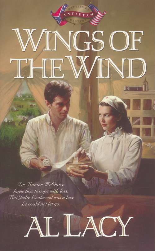 Book cover of Wings of the Wind