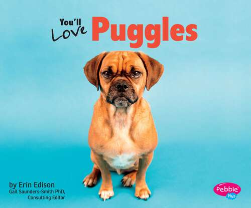 Book cover of You’ll Love Puggles (Favorite Designer Dogs Ser.)
