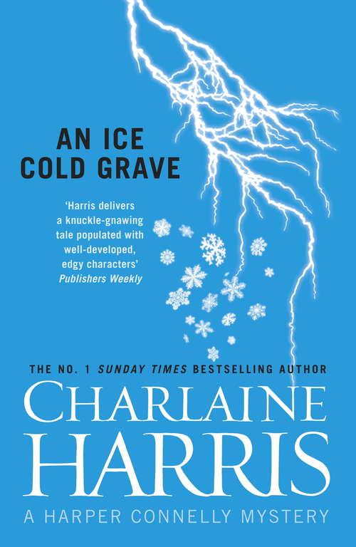 Book cover of An Ice Cold Grave