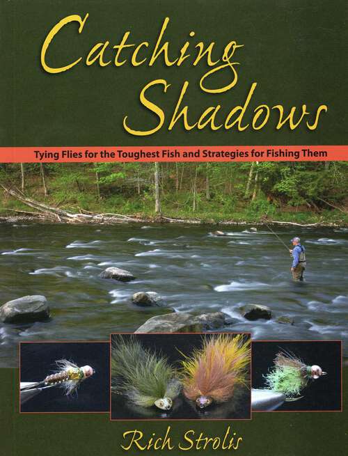 Book cover of Catching Shadows