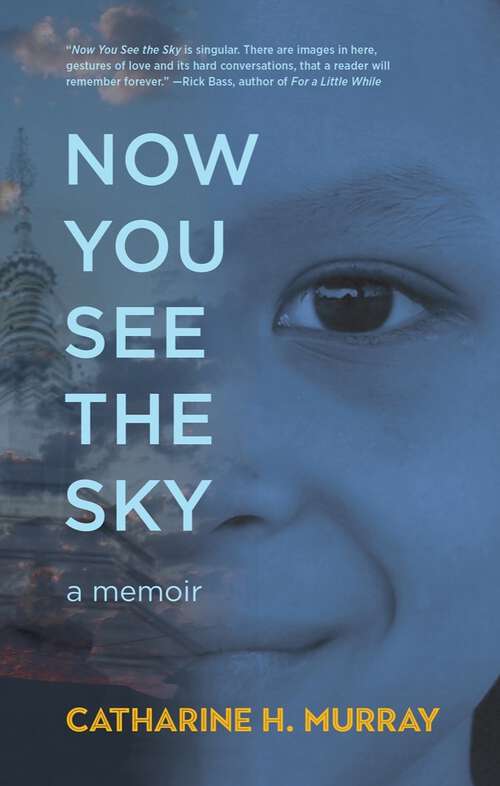Book cover of Now You See the Sky