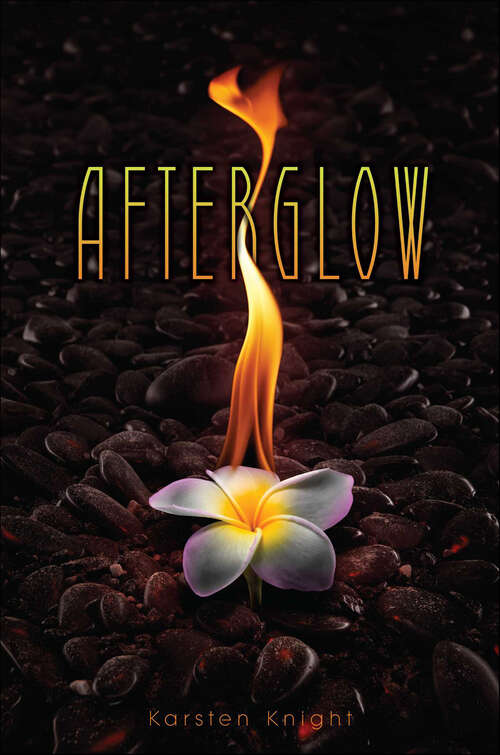 Book cover of Afterglow (Wildefire)