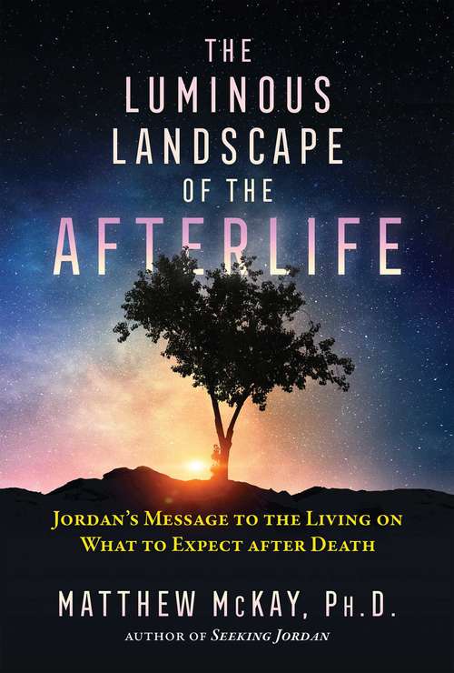 Book cover of The Luminous Landscape of the Afterlife: Jordan’s Message to the Living on What to Expect after Death