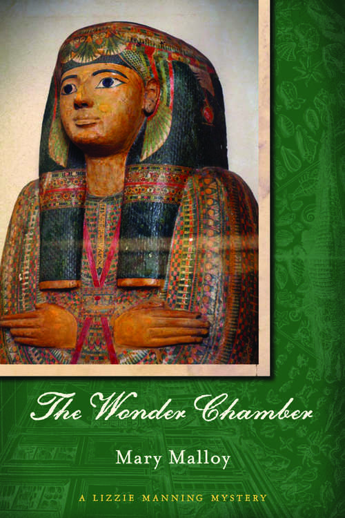 Book cover of The Wonder Chamber