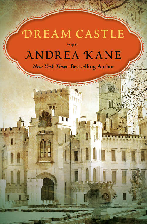 Book cover of Dream Castle