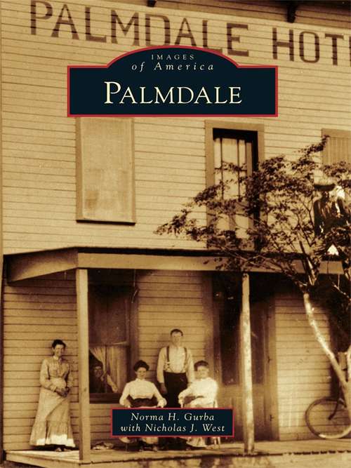 Book cover of Palmdale