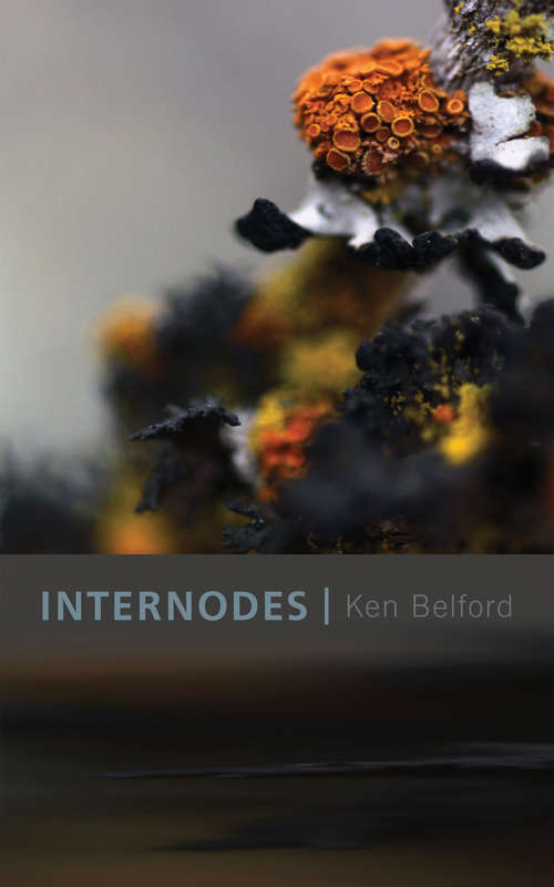 Book cover of Internodes