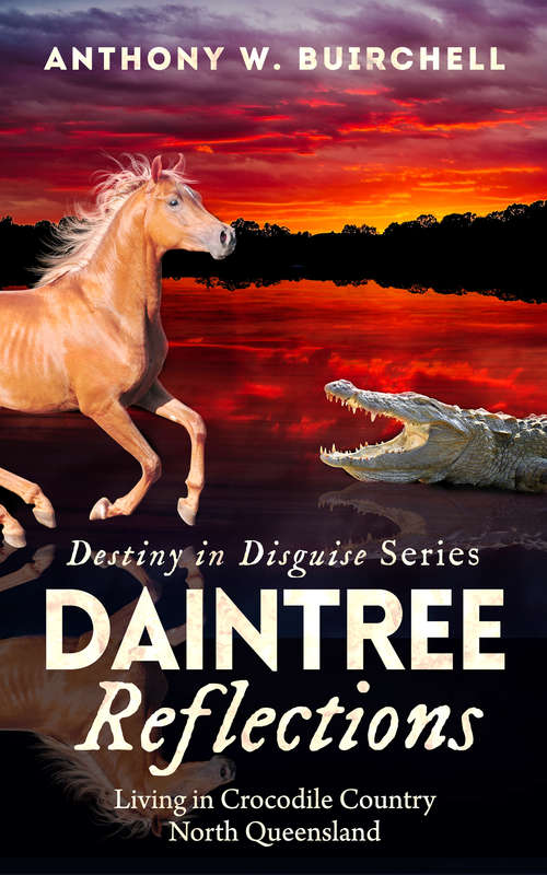 Book cover of Daintree Reflections
