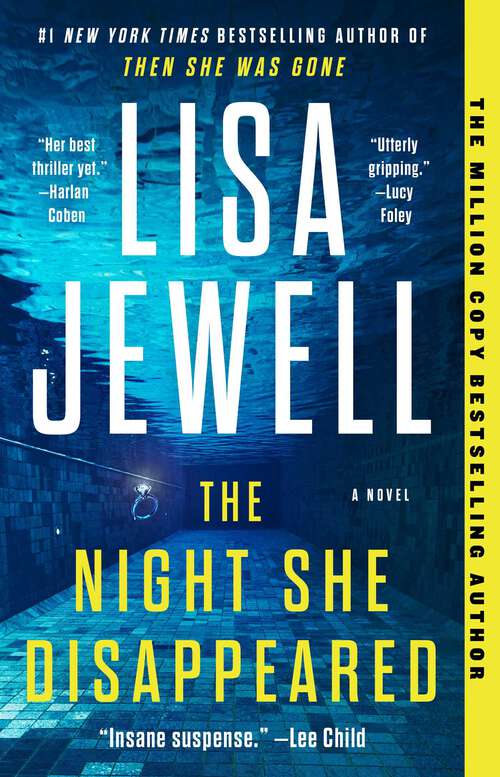 Book cover of The Night She Disappeared: A Novel