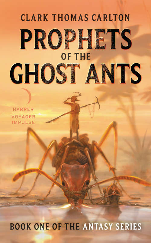 Prophets of the Ghost Ants